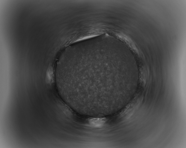 X0000093530465200710121602