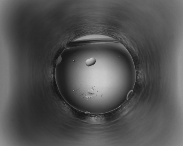 X0000093530466200710121602
