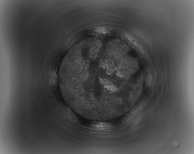 X0000093530467200710121602