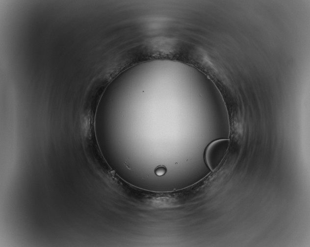 X0000093530468200710121602