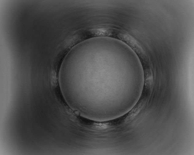 X0000093530469200710121602