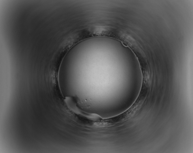 X0000093530470200710121602