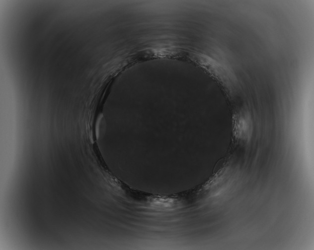 X0000093530471200710121602