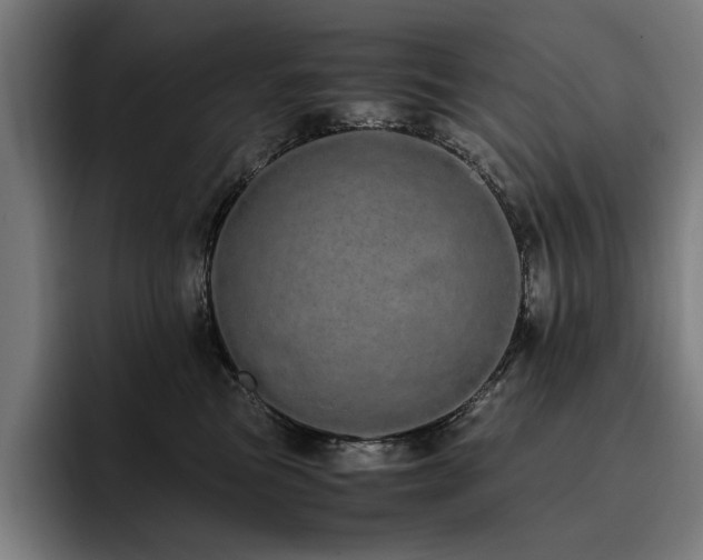 X0000093530473200710121602