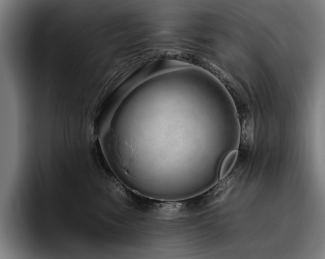 X0000093530474200710121602