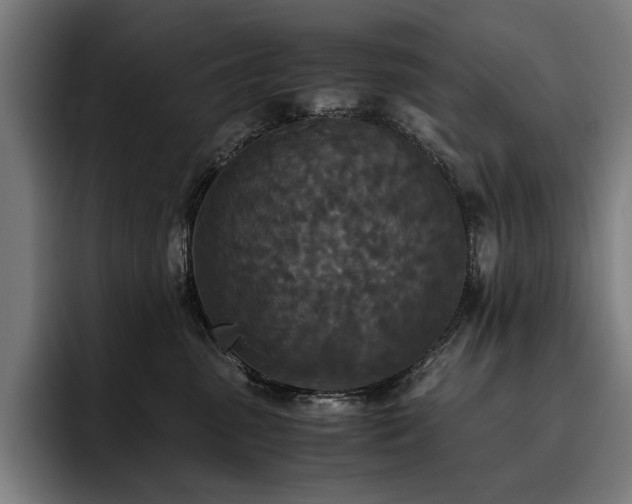 X0000093530475200710121602