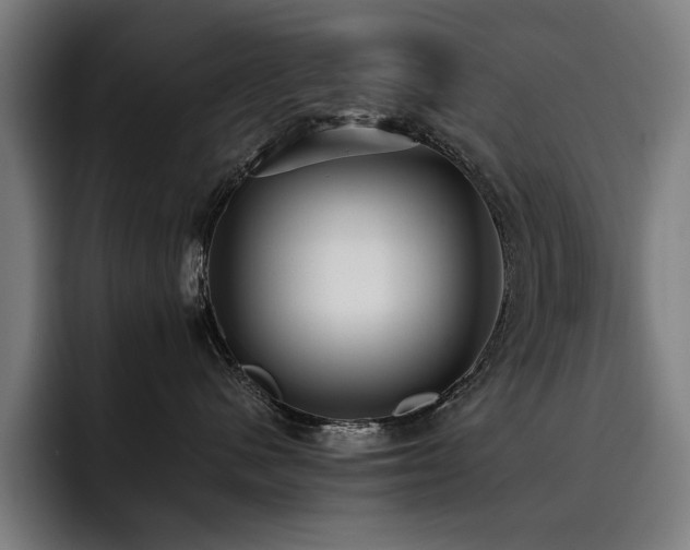 X0000093530480200710121602