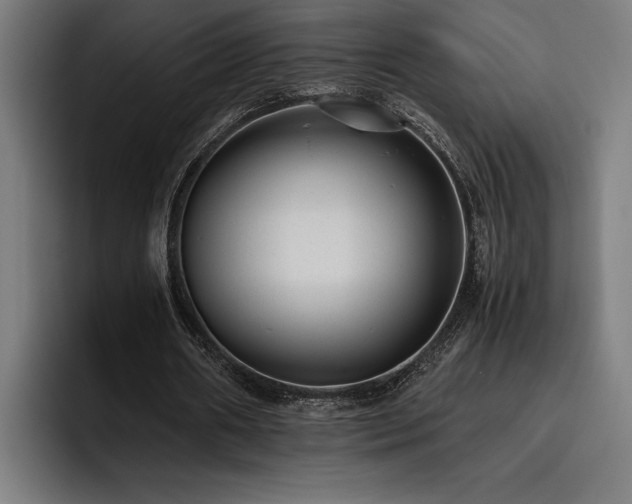 X0000093530482200710121602