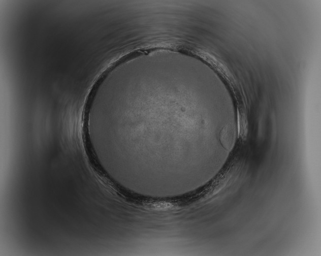X0000093530483200710121602