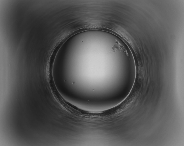 X0000093530485200710121602