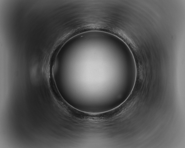 X0000093530486200710121602