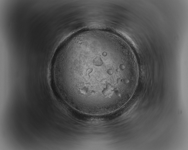 X0000093530487200710121602
