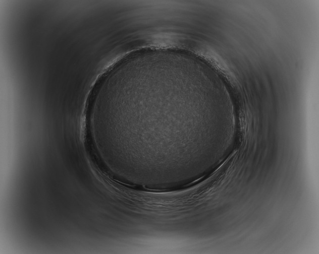 X0000093530488200710121602