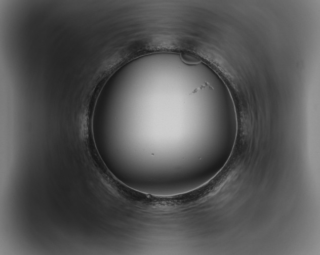 X0000093530489200710121602
