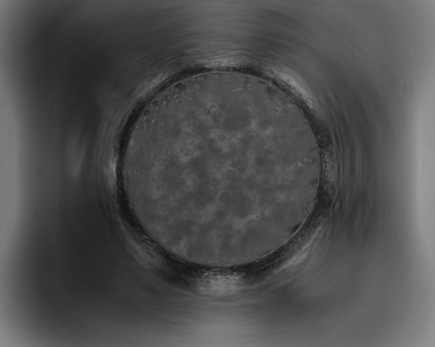 X0000093530491200710121602
