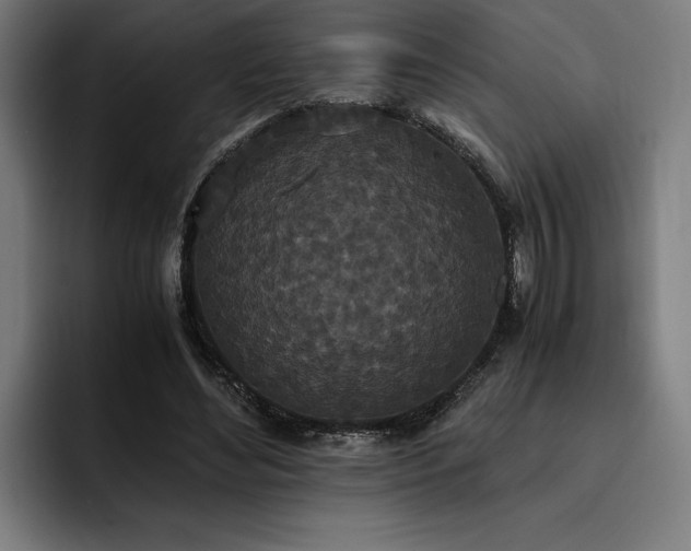 X0000093530492200710121602