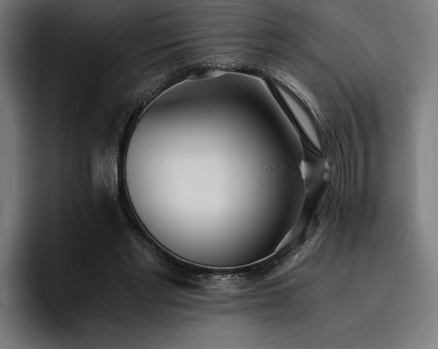 X0000093530493200710121602