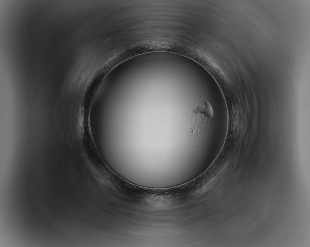 X0000093530494200710121602
