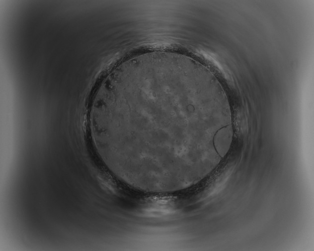 X0000093530495200710121602