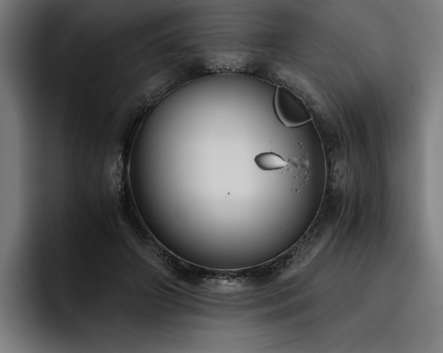 X0000093530498200710121602