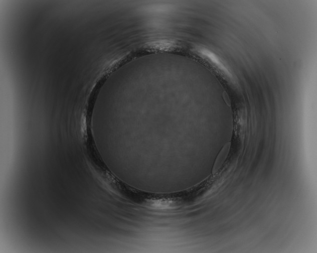 X0000093530500200710121602