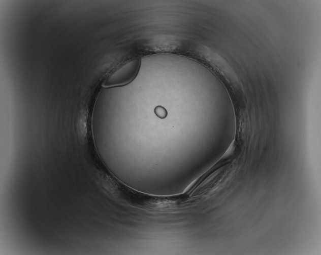 X0000093530501200710121602