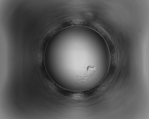 X0000093530505200710121602