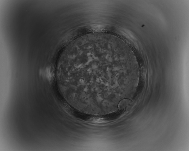 X0000093530507200710121602