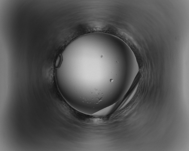 X0000093530509200710121601