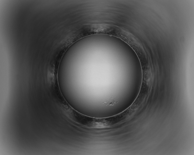 X0000093530510200710121601