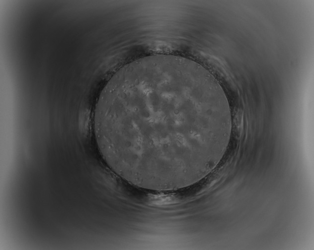 X0000093530511200710121601