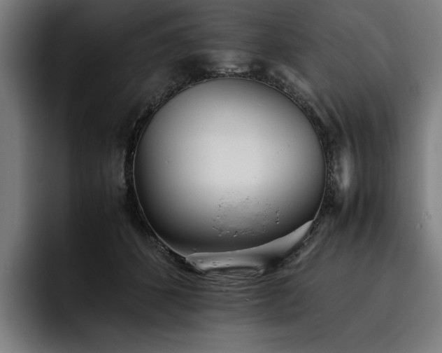 X0000093530512200710121601
