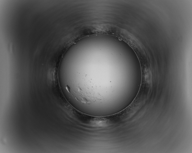 X0000093530514200710121601