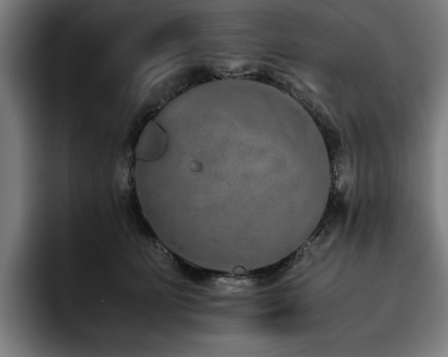 X0000093530515200710121601