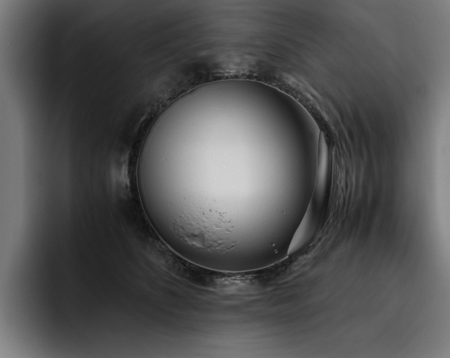 X0000093530516200710121601