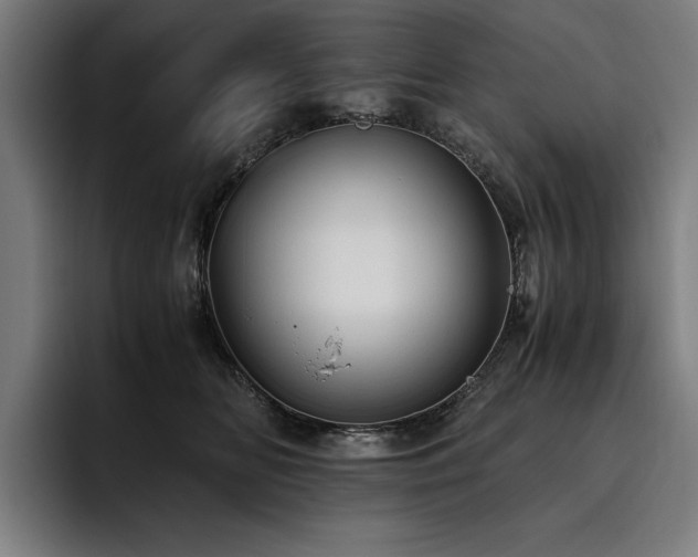X0000093530518200710121601