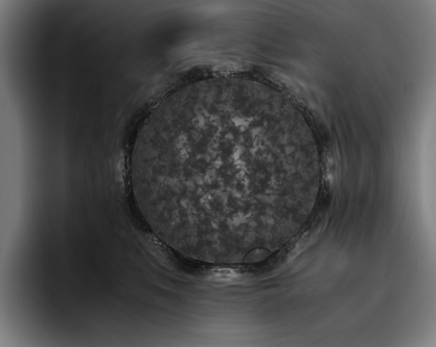 X0000093530519200710121601
