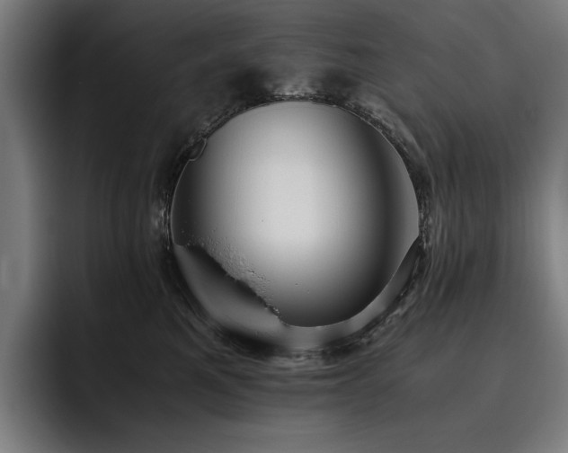 X0000093530521200710121601