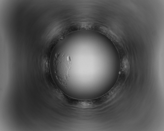 X0000093530522200710121601