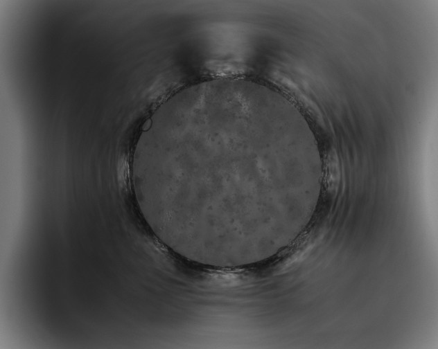 X0000093530523200710121601