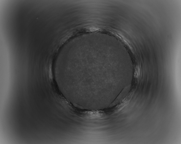 X0000093530524200710121601