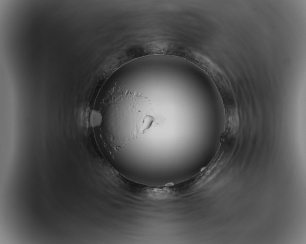 X0000093530525200710121601