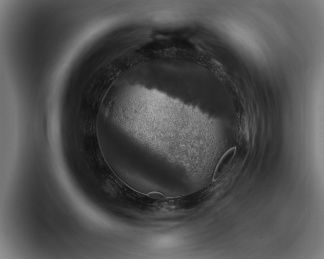 X0000093530526200710121601