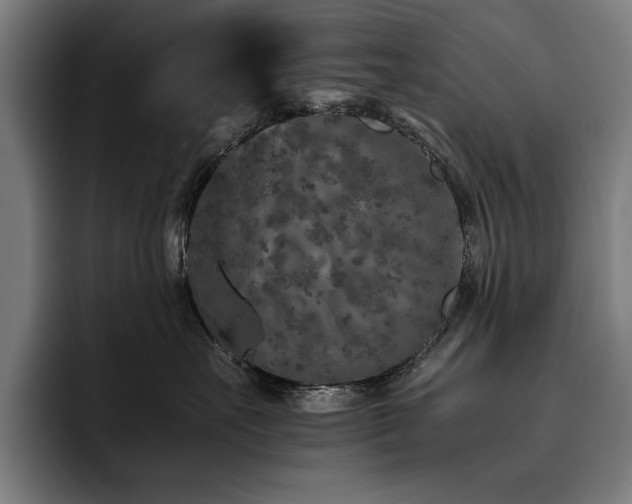 X0000093530527200710121601