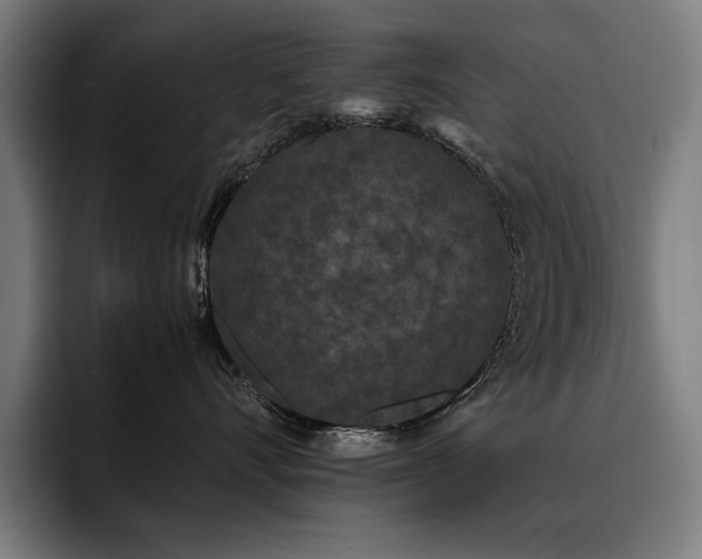 X0000093530528200710121601