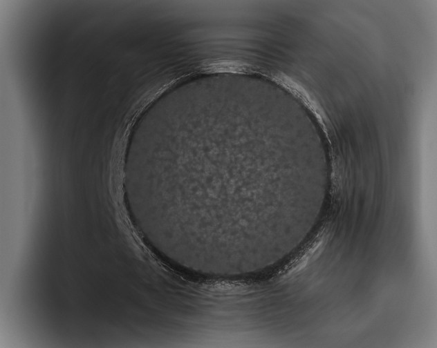 X0000093530529200710121601