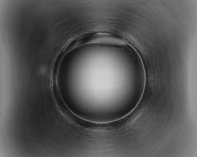 X0000093530530200710121601