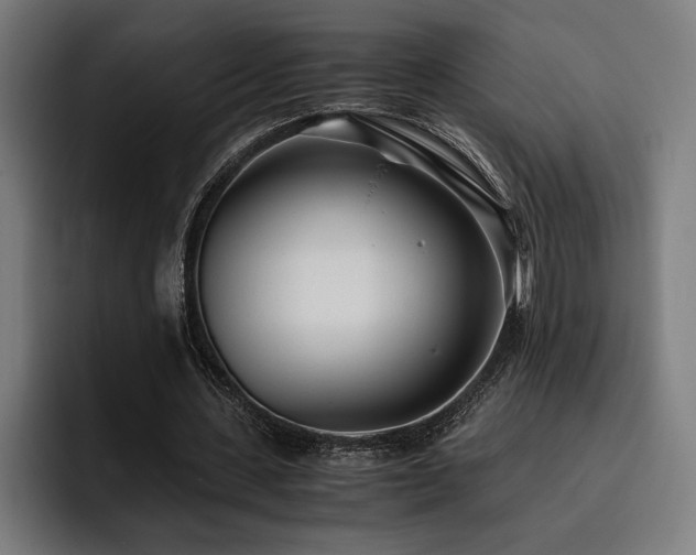 X0000093530531200710121601