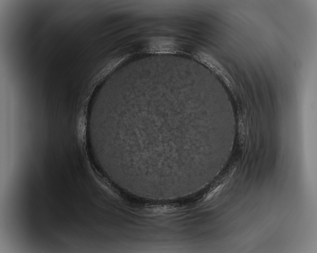 X0000093530533200710121601