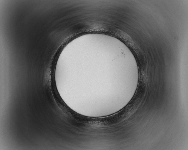 X0000093530534200710121601
